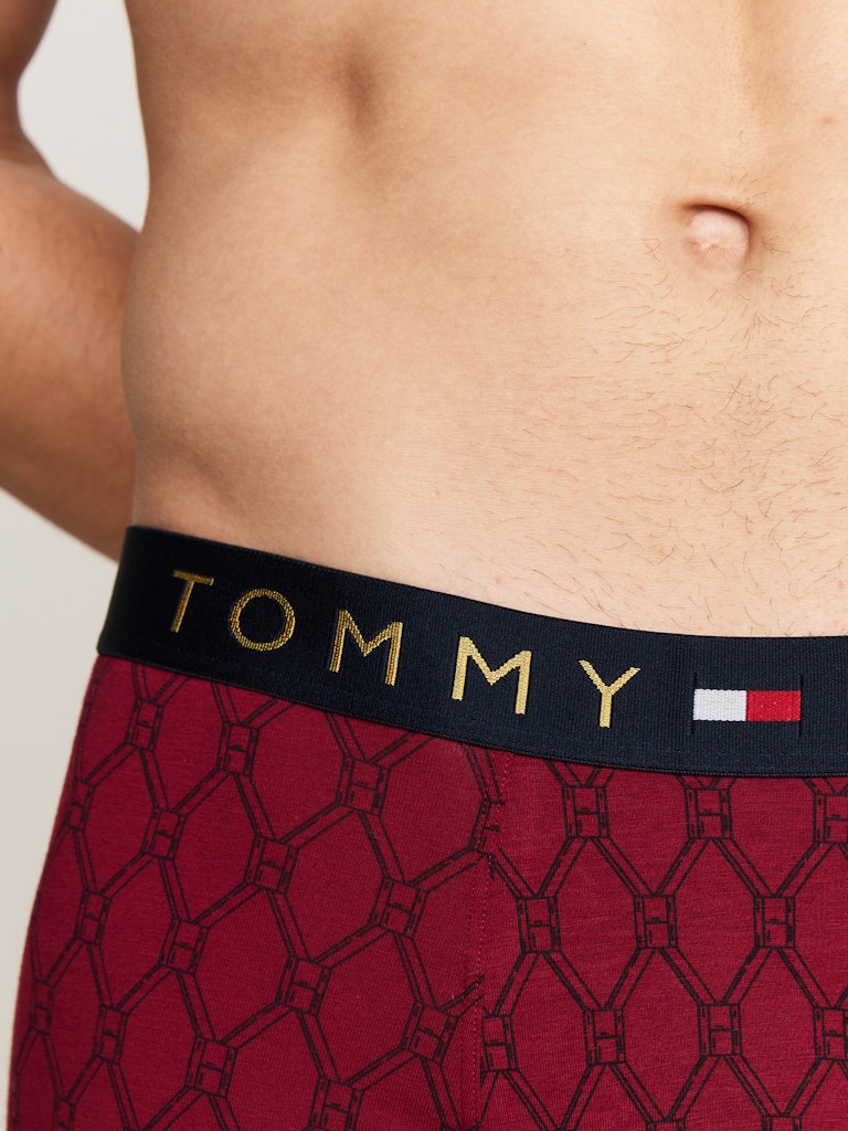 TOMMY HILFIGER TRUNK PRINT CTN GOLD Bokserit