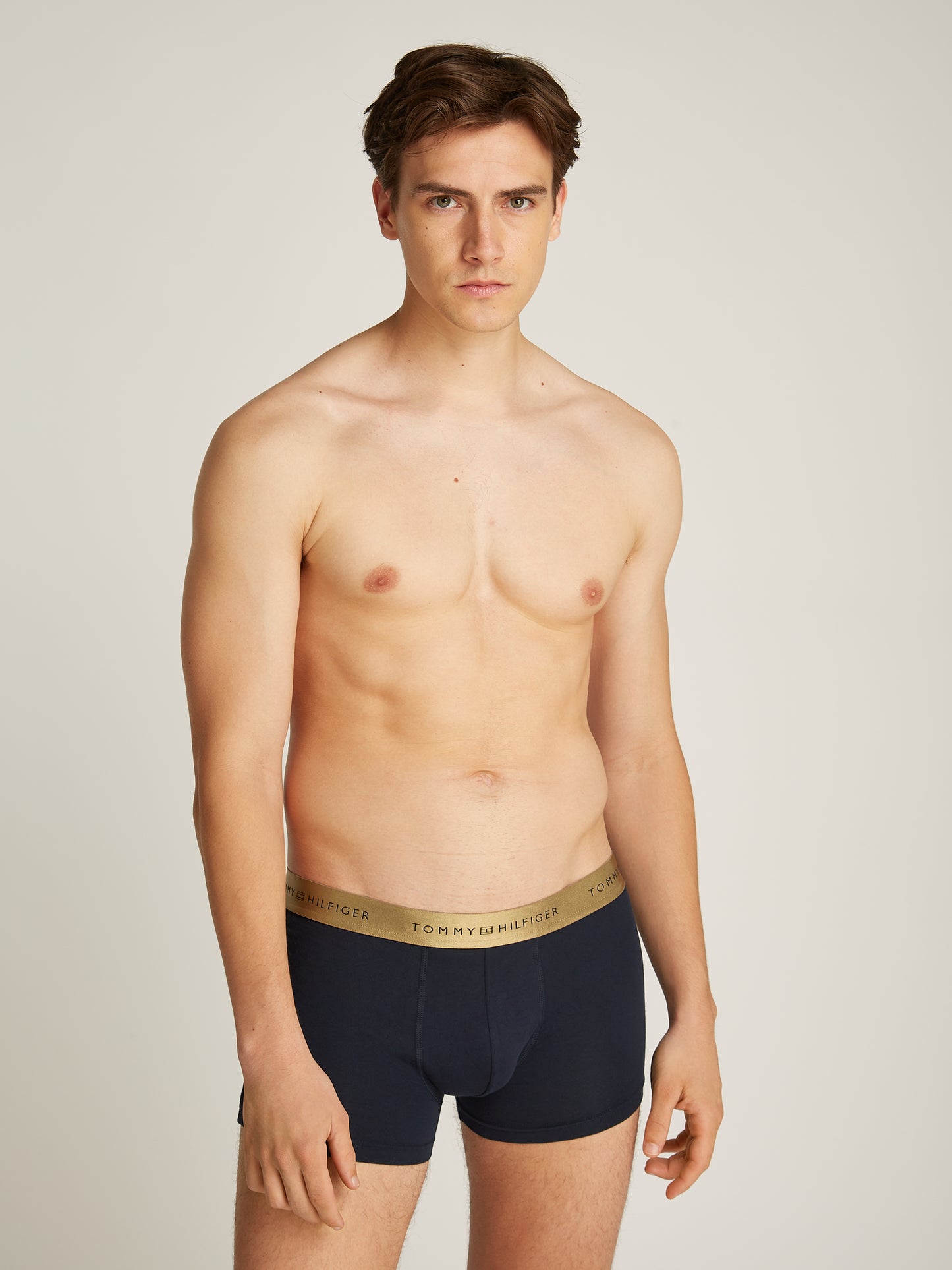 TOMMY HILFIGER 3P TRUNK METALLIC WB Bokserit