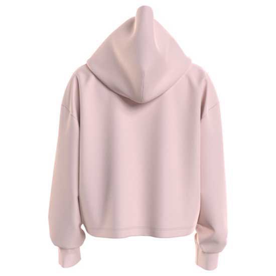 TJW BXY ESSENTIAL LOGO HOODY Huppari